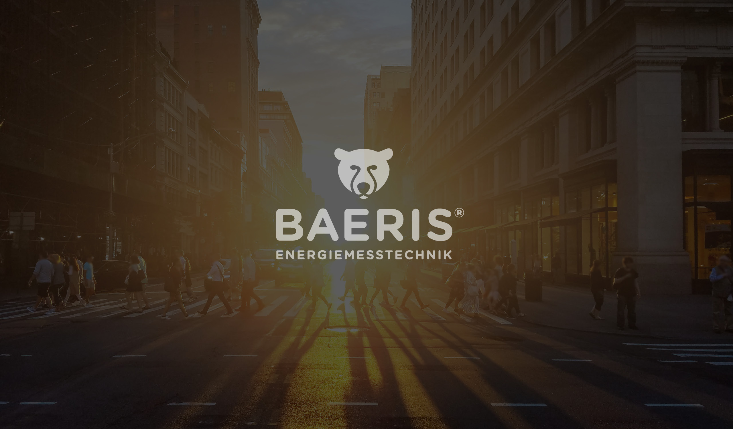 BAERIS Logo weiß