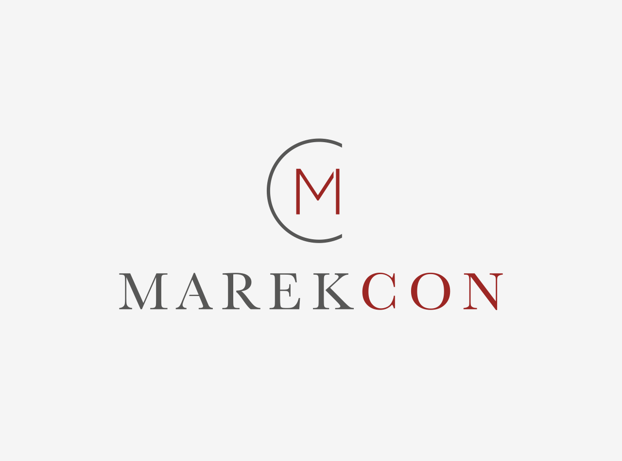 Logo Design für IT-Berater auf weiß