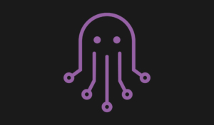 DS4B – Oktopus Keyvisual Logo