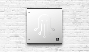 DS4B – Oktopus Box
