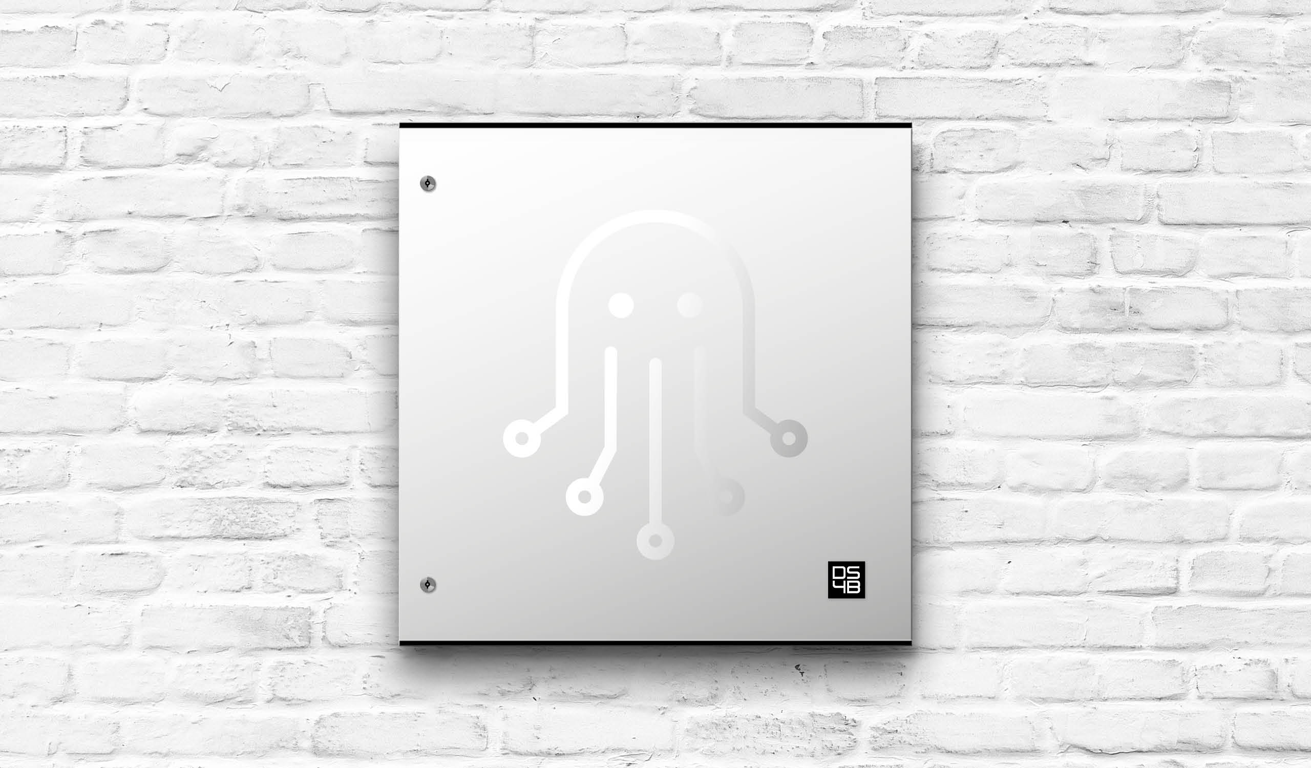 DS4B – Oktopus Box